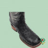 Botas Avestruz Negro - Horma Bulldog