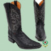 Botas Avestruz Negro - Horma Holanda 2