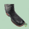 Botas Avestruz Negro - Bulldog