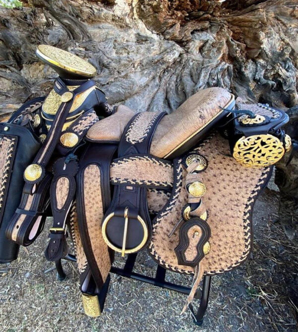 Brown Saddle with Black and Gold Finishes