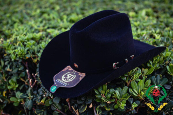 Black Tombstone Hat 2