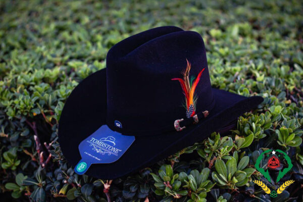 Black Tombstone Hat