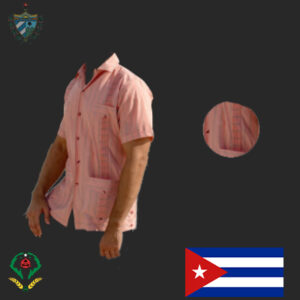 Striped Galaxie Guayabera