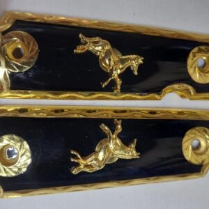 Cacha Golden Horse with Black 2